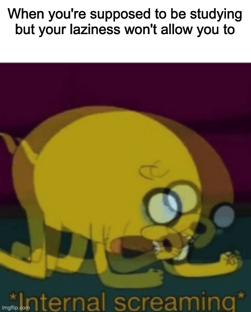 ... | When you're supposed to be studying but your laziness won't allow you to | image tagged in jake the dog internal screaming | made w/ Imgflip meme maker