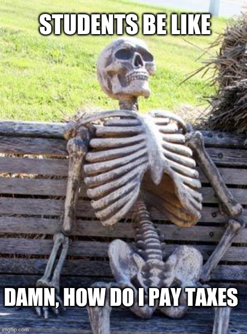 its true | STUDENTS BE LIKE; DAMN, HOW DO I PAY TAXES | image tagged in memes,waiting skeleton | made w/ Imgflip meme maker