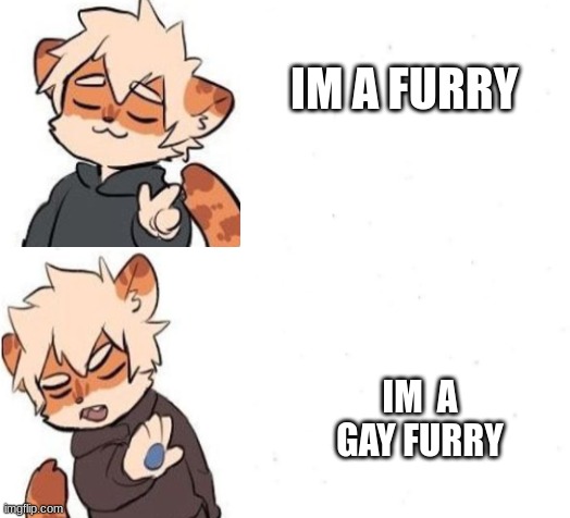 Furry | IM A FURRY; IM  A GAY FURRY | image tagged in furry,and thats a fact,drake | made w/ Imgflip meme maker