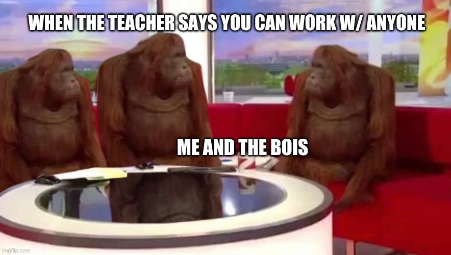 where monkey | WHEN THE TEACHER SAYS YOU CAN WORK W/ ANYONE; ME AND THE BOIS | image tagged in where monkey | made w/ Imgflip meme maker