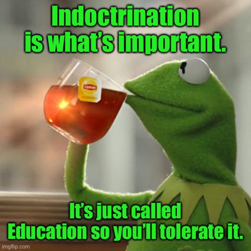 But That's None Of My Business Meme | Indoctrination is what’s important. It’s just called Education so you’ll tolerate it. | image tagged in memes,but that's none of my business,kermit the frog | made w/ Imgflip meme maker