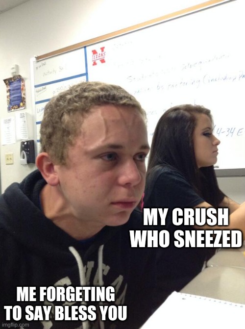 Hold fart | MY CRUSH WHO SNEEZED; ME FORGETING TO SAY BLESS YOU | image tagged in hold fart | made w/ Imgflip meme maker