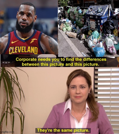 LeBron Garbage | image tagged in memes,they're the same picture | made w/ Imgflip meme maker