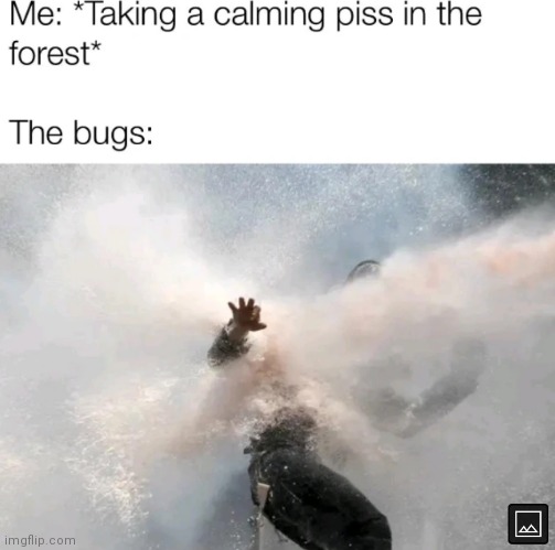 image tagged in memes,bugs,forest | made w/ Imgflip meme maker
