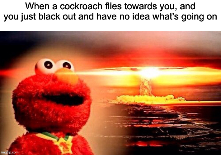 Most relatable experience | When a cockroach flies towards you, and you just black out and have no idea what's going on | image tagged in elmo nuclear explosion | made w/ Imgflip meme maker