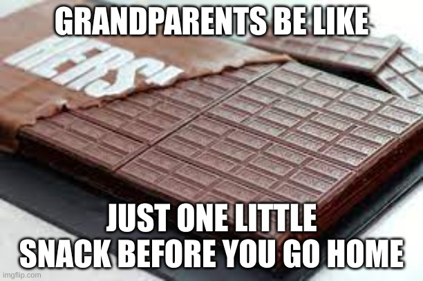Giant chocolate boi | GRANDPARENTS BE LIKE; JUST ONE LITTLE SNACK BEFORE YOU GO HOME | image tagged in choccy | made w/ Imgflip meme maker