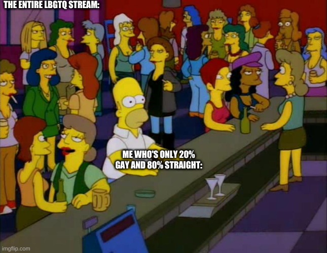 homer simpson me on facebook | THE ENTIRE LBGTQ STREAM:; ME WHO'S ONLY 20% GAY AND 80% STRAIGHT: | image tagged in homer simpson me on facebook | made w/ Imgflip meme maker