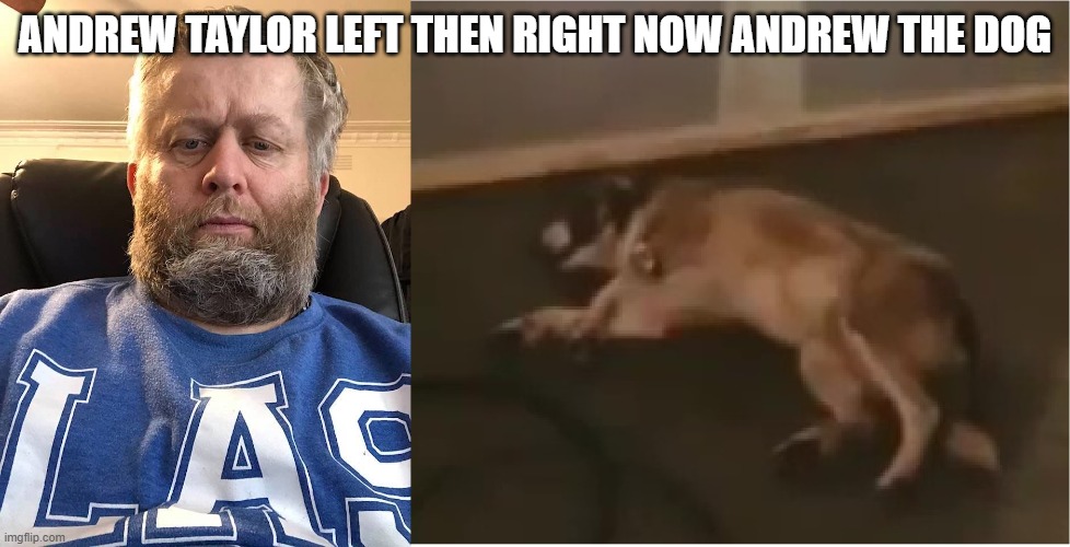 Andrew the Dog | ANDREW TAYLOR LEFT THEN RIGHT NOW ANDREW THE DOG | image tagged in andrew taylor now andrew the dog | made w/ Imgflip meme maker
