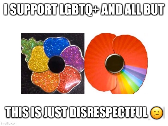 Taking over rememberance day.. | I SUPPORT LGBTQ+ AND ALL BUT; THIS IS JUST DISRESPECTFUL 😕 | image tagged in blank white template,pissed off,lgbtq,canada,not cool | made w/ Imgflip meme maker