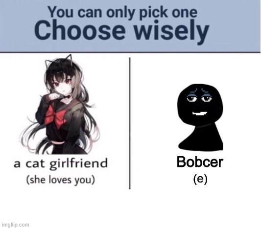 Choose wisely | Bobcer; (e) | image tagged in choose wisely | made w/ Imgflip meme maker