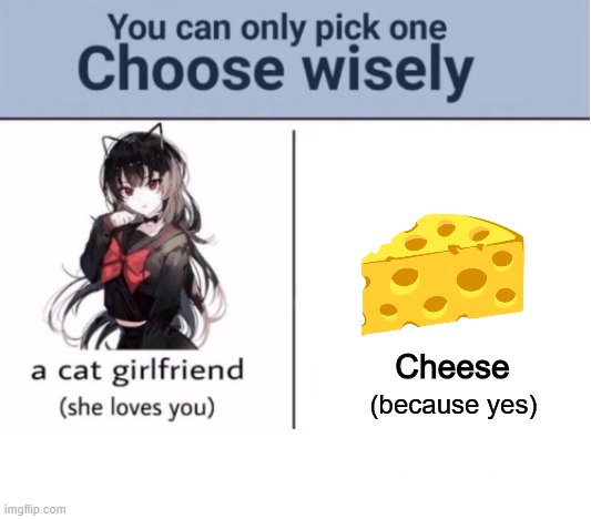 Choose wisely | Cheese; (because yes) | image tagged in choose wisely | made w/ Imgflip meme maker