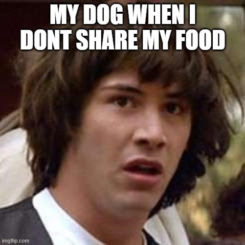Dogs are hungry too! | MY DOG WHEN I DONT SHARE MY FOOD | image tagged in memes,conspiracy keanu | made w/ Imgflip meme maker