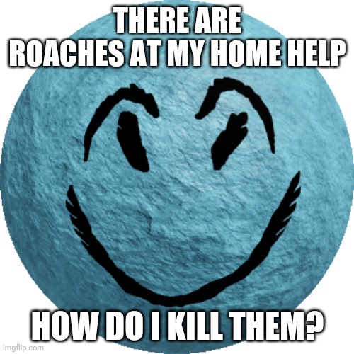 There are roaches help | THERE ARE ROACHES AT MY HOME HELP; HOW DO I KILL THEM? | image tagged in help | made w/ Imgflip meme maker
