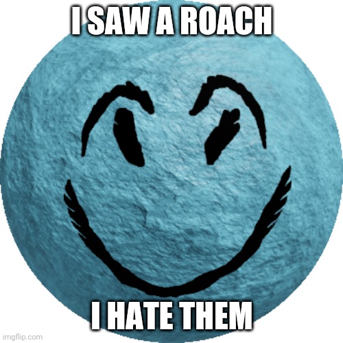 I seen one | I SAW A ROACH; I HATE THEM | image tagged in help,still roaches | made w/ Imgflip meme maker