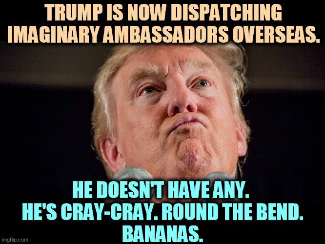 You're not president and you don't have any ambassadors. | TRUMP IS NOW DISPATCHING IMAGINARY AMBASSADORS OVERSEAS. HE DOESN'T HAVE ANY. 
HE'S CRAY-CRAY. ROUND THE BEND.
BANANAS. | image tagged in trump crazy mad bonkers,imagination,president,fantasy | made w/ Imgflip meme maker