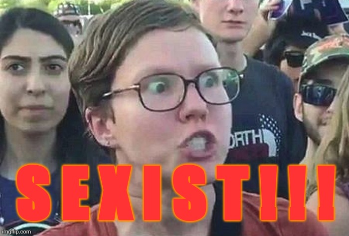 Triggered Liberal | S E X I S T ! ! ! | image tagged in triggered liberal | made w/ Imgflip meme maker