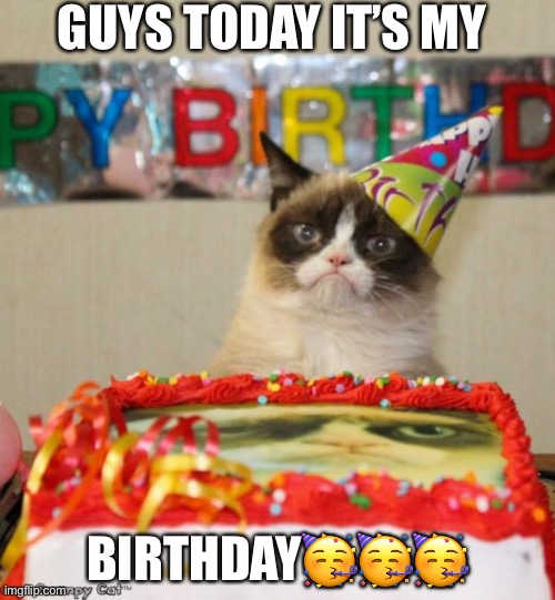 Guys today its my bday | GUYS TODAY IT’S MY; BIRTHDAY🥳🥳🥳 | image tagged in memes,grumpy cat birthday,grumpy cat | made w/ Imgflip meme maker