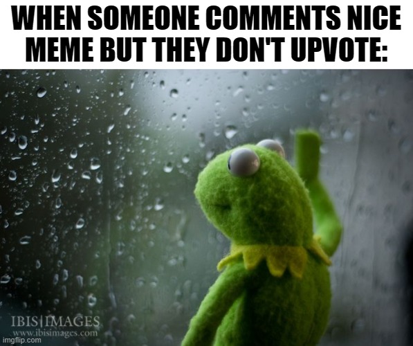 makes me so sad | WHEN SOMEONE COMMENTS NICE MEME BUT THEY DON'T UPVOTE: | image tagged in kermit window | made w/ Imgflip meme maker