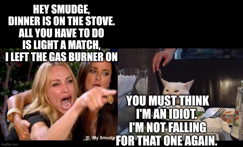 HEY SMUDGE, DINNER IS ON THE STOVE. ALL YOU HAVE TO DO IS LIGHT A MATCH, I LEFT THE GAS BURNER ON; YOU MUST THINK I'M AN IDIOT.  I'M NOT FALLING FOR THAT ONE AGAIN. | image tagged in smudge the cat | made w/ Imgflip meme maker
