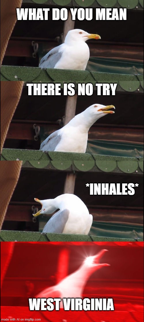 e | WHAT DO YOU MEAN; THERE IS NO TRY; *INHALES*; WEST VIRGINIA | image tagged in memes,inhaling seagull | made w/ Imgflip meme maker