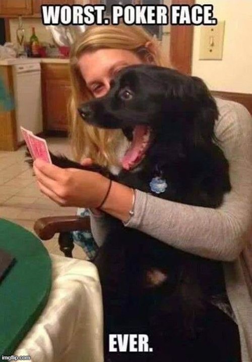 (Kris note-the dogs face tho) | made w/ Imgflip meme maker