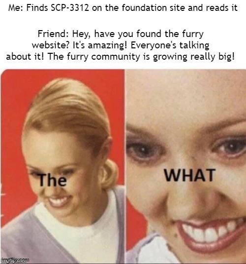When you read SCP-3312 |  Me: Finds SCP-3312 on the foundation site and reads it; Friend: Hey, have you found the furry website? It's amazing! Everyone's talking about it! The furry community is growing really big! | image tagged in the what,furry,scp meme | made w/ Imgflip meme maker