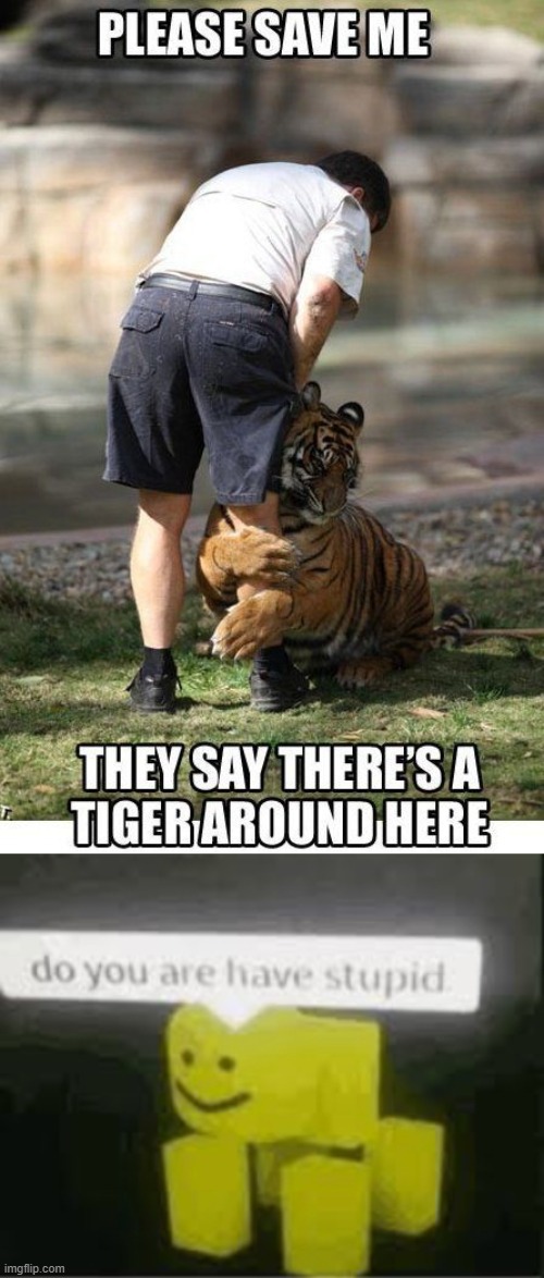 image tagged in do you are have stupid | made w/ Imgflip meme maker