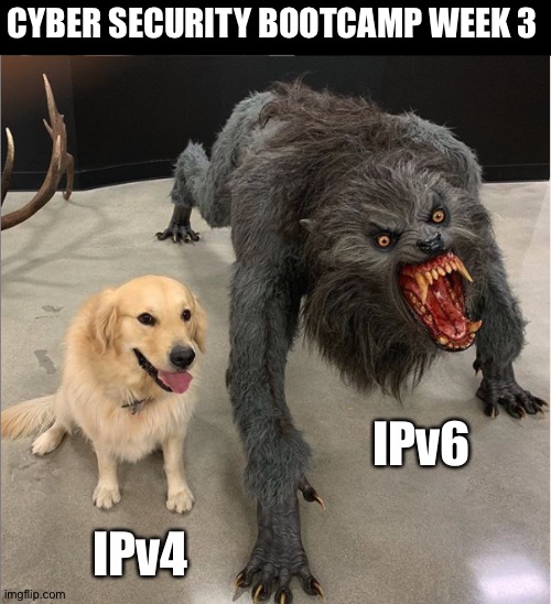 Getting there | CYBER SECURITY BOOTCAMP WEEK 3; IPv6; IPv4 | image tagged in dog vs werewolf | made w/ Imgflip meme maker