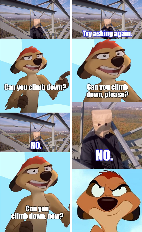 Timon Blank Meme Template