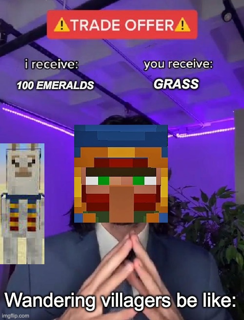 Trade Offer | 100 EMERALDS; GRASS; Wandering villagers be like: | image tagged in trade offer | made w/ Imgflip meme maker