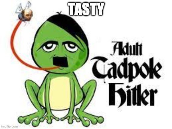 Hitler Frog | TASTY | image tagged in hitler,frog,beautiful,tasty,funny,adolf hitler | made w/ Imgflip meme maker