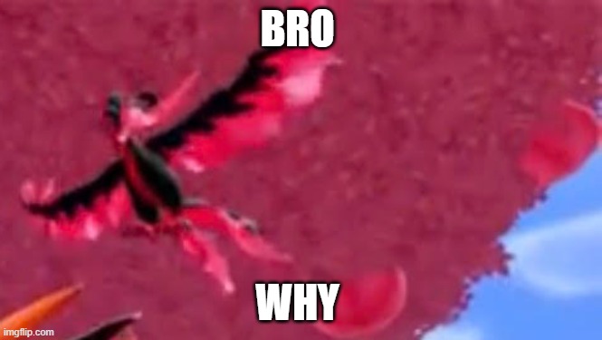 BRO; WHY | made w/ Imgflip meme maker