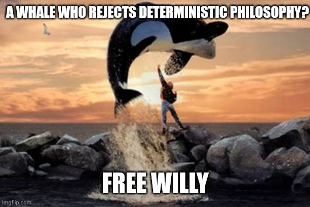 Free Will | A WHALE WHO REJECTS DETERMINISTIC PHILOSOPHY? FREE WILLY | image tagged in free willy blank | made w/ Imgflip meme maker