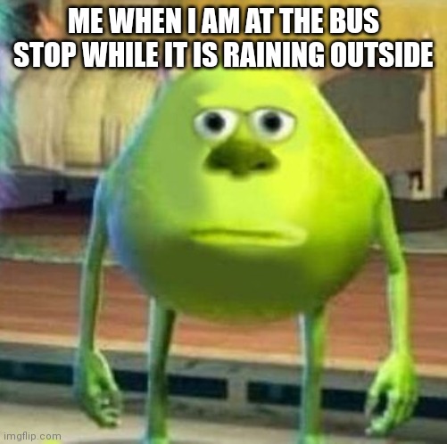 Mike wasowski sully face swap | ME WHEN I AM AT THE BUS STOP WHILE IT IS RAINING OUTSIDE | image tagged in mike wasowski sully face swap | made w/ Imgflip meme maker