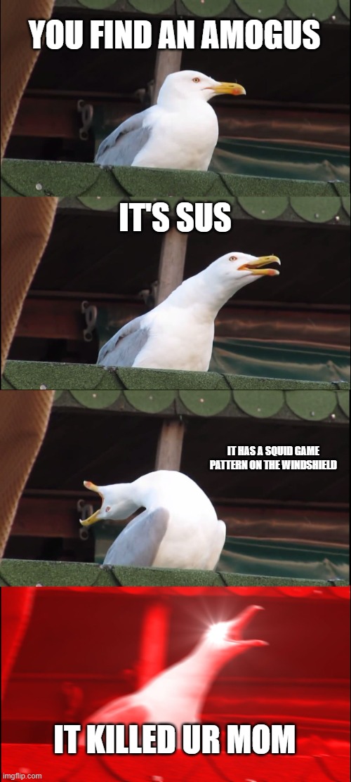 Amgousus | YOU FIND AN AMOGUS; IT'S SUS; IT HAS A SQUID GAME PATTERN ON THE WINDSHIELD; IT KILLED UR MOM | image tagged in memes,inhaling seagull | made w/ Imgflip meme maker