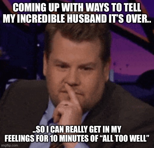 All too well | COMING UP WITH WAYS TO TELL MY INCREDIBLE HUSBAND IT’S OVER.. ..SO I CAN REALLY GET IN MY FEELINGS FOR 10 MINUTES OF “ALL TOO WELL” | image tagged in taylor swift | made w/ Imgflip meme maker