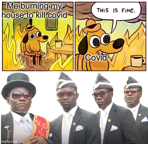 100 IQ time | Me burning my house to kill covid; Covid | image tagged in memes,this is fine | made w/ Imgflip meme maker
