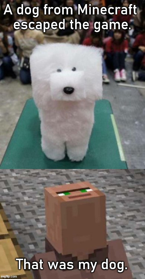 A dog escaped | A dog from Minecraft 
escaped the game. That was my dog. | image tagged in minecraft | made w/ Imgflip meme maker