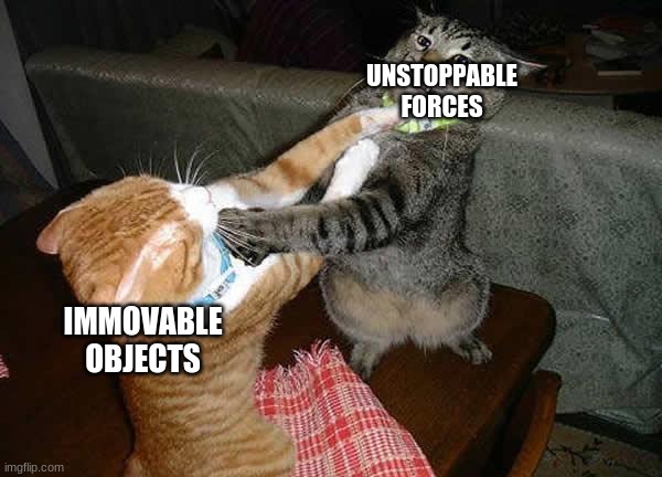Two cats fighting for real | UNSTOPPABLE FORCES; IMMOVABLE OBJECTS | image tagged in two cats fighting for real | made w/ Imgflip meme maker