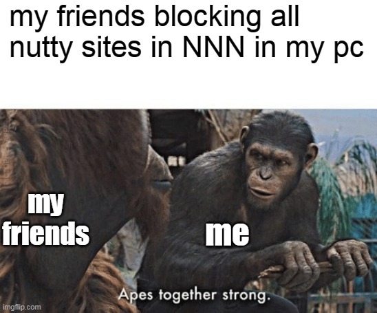 monke noises | my friends blocking all nutty sites in NNN in my pc; my friends; me | image tagged in apes together strong | made w/ Imgflip meme maker