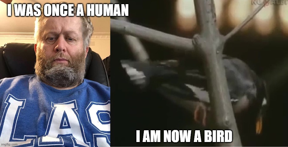 Andrew Taylor | I WAS ONCE A HUMAN; I AM NOW A BIRD | image tagged in andrew taylor | made w/ Imgflip meme maker