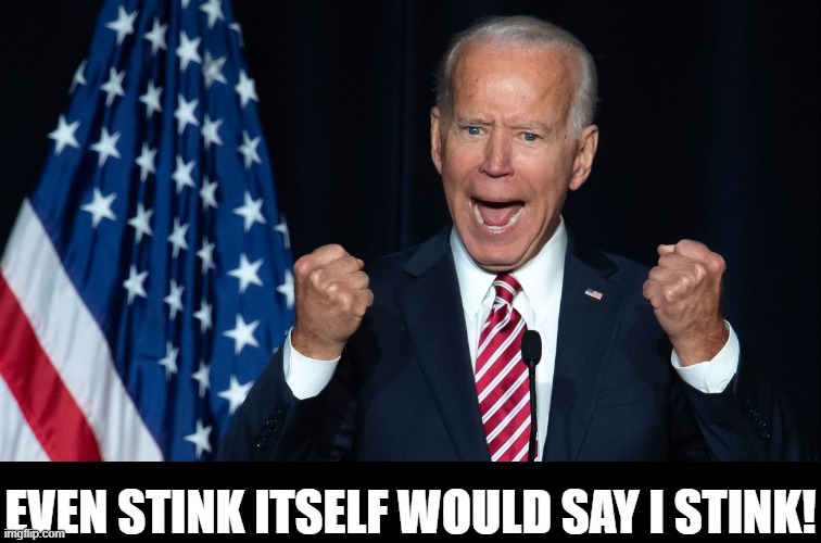 There's Something Rotten in Washington |  EVEN STINK ITSELF WOULD SAY I STINK! | image tagged in vince vance,creepy joe biden,stinks,memes,poop,crap | made w/ Imgflip meme maker