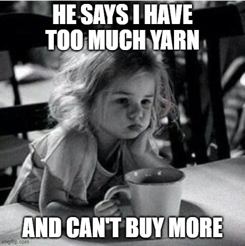 too much yarn | HE SAYS I HAVE TOO MUCH YARN; AND CAN'T BUY MORE | image tagged in yarn,crochet,knit | made w/ Imgflip meme maker