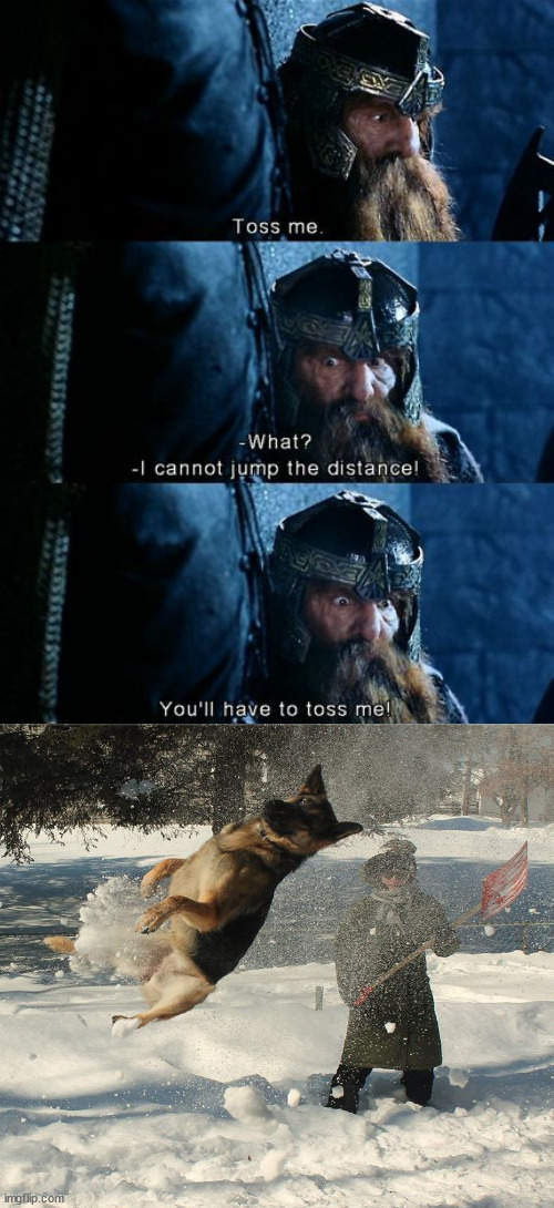 image tagged in dogs,lotr,toss me | made w/ Imgflip meme maker