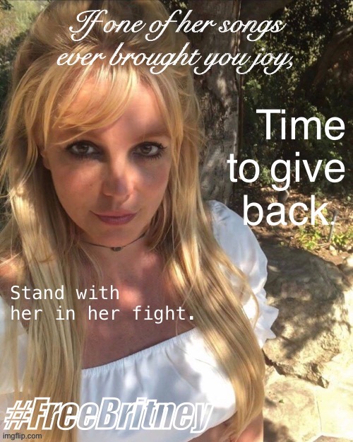 Free Britney | image tagged in free britney | made w/ Imgflip meme maker