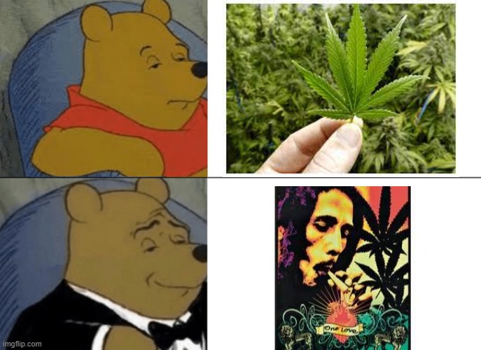 Tuxedo Winnie The Pooh | image tagged in memes,tuxedo winnie the pooh | made w/ Imgflip meme maker