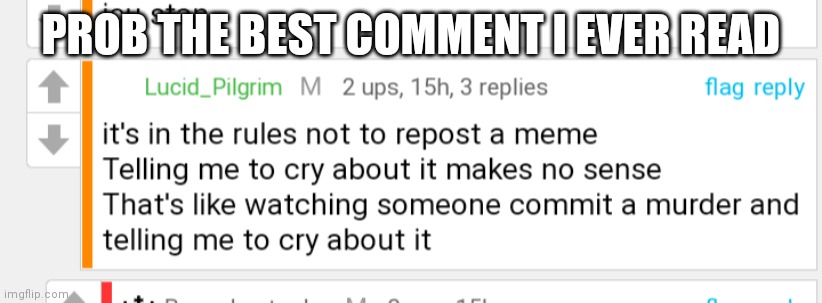 Lmao | PROB THE BEST COMMENT I EVER READ | image tagged in comments | made w/ Imgflip meme maker