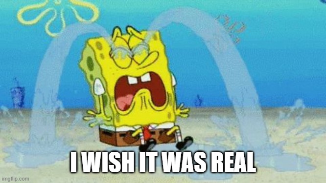 Spongebob crying | I WISH IT WAS REAL | image tagged in spongebob crying | made w/ Imgflip meme maker