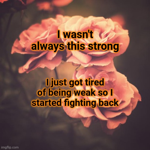 You Matter ! ! ! |  I wasn't always this strong; I just got tired of being weak so I started fighting back | image tagged in beautiful vintage flowers,memes,you matter,you are important,you are loved,strength | made w/ Imgflip meme maker