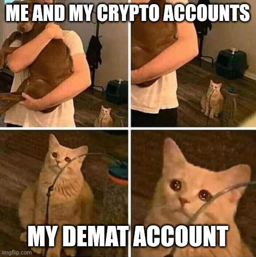 Crypto is the future | ME AND MY CRYPTO ACCOUNTS; MY DEMAT ACCOUNT | image tagged in crying cat comic | made w/ Imgflip meme maker